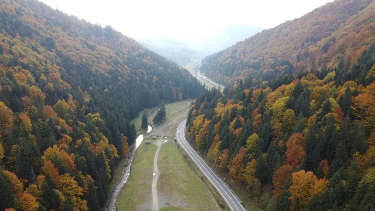 Pensiunea Bradului Colibita Exterior photo